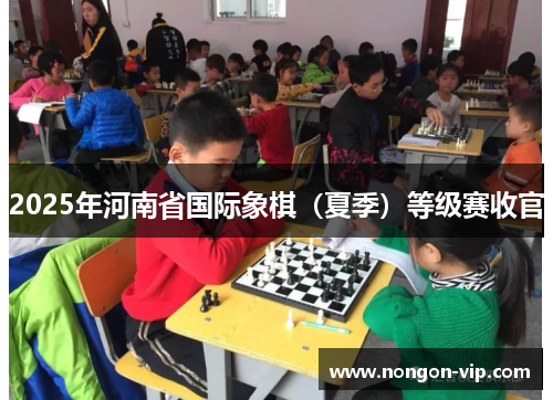 2025年河南省国际象棋（夏季）等级赛收官