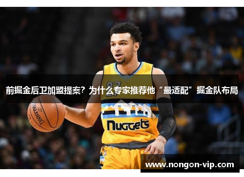 前掘金后卫加盟提案？为什么专家推荐他“最适配”掘金队布局